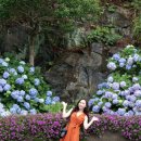 해금강로 이미지