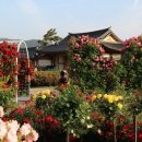 곡성-166 Daum카페