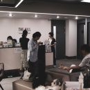 정직한 동물병원 네이버블로그