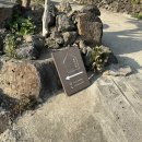 제주서채 이미지