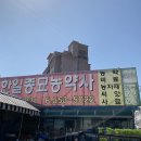 한일종묘농약사 이미지