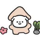 온새미아쿠아
