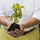 액티브 에이징 이미지