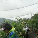 방배2동_ 이미지