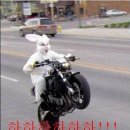 석씨네 | w5. 대구 본식 DVD 계약후기 [르랑필름,멜팅필름, 그대의 봄날, 씬씨네필름, 석그래피, 담필름]