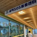 신관동 주민센터 | 삼척 장난감 대여점, SOS 통통 센터 이용 후기🧸