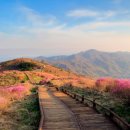 구례카페 가볼만한곳 추천 TOP10