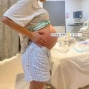 양수2 | 출산비 0원, 호주 공립병원 출산후기 (2)38주 6일, 양수터지고 입원하다. 입원절차?!