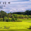 라르고 Daum카페
