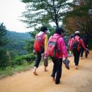 계족산황톳길 이미지