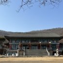 단추스테이 | 광명 금강정사 템플스테이 함께 속세를 떠나보지 않으실 ?
