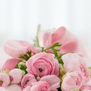 서종우체국 이미지