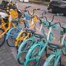 운교카페 | 상하이여행 상하이맛집 : 위안지 운교, 우루무치 중로점에서 만난 진짜 만두의 맛