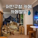처인구청 카페 “카페 열음” 용인 김량장역 타르트 맛집 내돈내산 솔직 후기