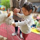 🐏쥬쥬동물체험-염소, 강아지🐕 이미지