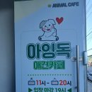 아잉독 애견카페 | 여수 애견카페 아잉독 오션뷰 루프탑 강아지놀이터