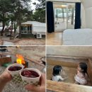 양양 숙소 강원도 아이랑 글램핑장 트리플펜션&글램핑 솔직후기