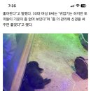 검은색 새끼토끼 “전시”한코엑스.. 토끼들 결국 행방불명 직원도 몰라 이미지