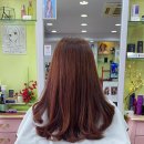 홍성천길 이미지