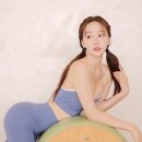 보떼 이미지