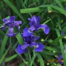 팔용산 체육공원 이미지