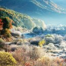 비밀의정원 이미지