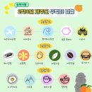 도토리편백집성서점 | 제주도/뚜벅이 여행/동쪽 추천코스) 뚜벅이들의 알찬 2박 3일 제주도 동쪽 힐링여행! (내돈내산/솔직후기)