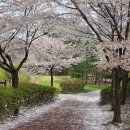 초롱꽃마을 8단지 앞 사거리1 | 경부를 타고 욕망은 달린다. 용인시 수지구 임장기