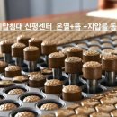 GH지압침대 이미지