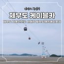 제부도 케이블카 가격 요금 할인 주차 시간 애견 서해랑 해상케이블카 대부도 여행 후기