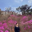 제32회 여수영취산진달래축제 | 여수 1박2일 여행 2일차 코스 영취산 진달래축제 이순신광장 먹거리 카페