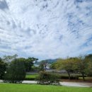 동창행정사 이미지