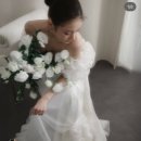 발렌 | [웨딩촬영 스튜디오] 발렌스튜디오 계약 후기🤍 추구미가 자연스러움, 디카감성이면 추천!
