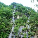 덕산체육관 Daum카페