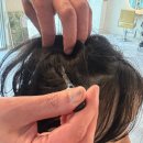 녹원빌딩 | 대전 둔산동 미용실 추천 두피스케일링컷 커트실패없는 온소헤어