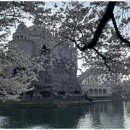 스위트원룸텔 이미지