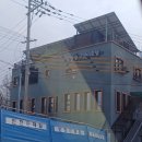 운정 숲 고양이호텔 이미지