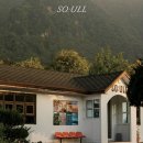 울릉도특산물명품화사업단 | 울릉도 특산품,특산물,기념품,굿즈 쇼핑♥업체정보 확인하세요^^