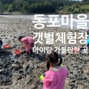 3동포차 | 고흥 아이랑 가볼 만한 곳ㅣ동포 마을 갯벌체험장