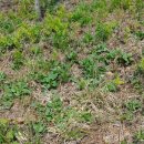 송주농장 이미지