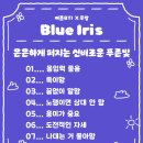 와다다 티스토리