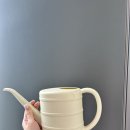 신난다다육