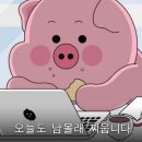 신용동 이미지