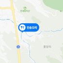 진송오리 이미지