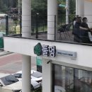 광주 근교 식물 카페, 풀멍에서 풀멍한 후기
