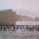 조성초등학교 이미지