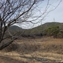 행정사감병기사무소 이미지