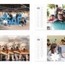 삼성특수학교 네이버블로그