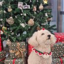 동구종합동물병원 이미지