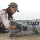 통발 속 게에게 칼을 빼앗긴 여자 유튜버 이미지